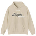 Kawasaki Ninja 300 Hoodie